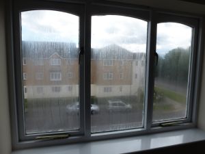 Broken down Double Glazed Units in Timber frames